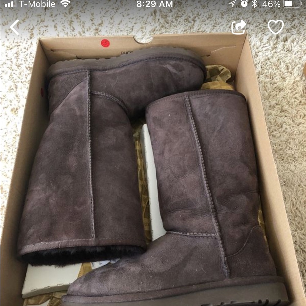 Uggs-chocolate Brown